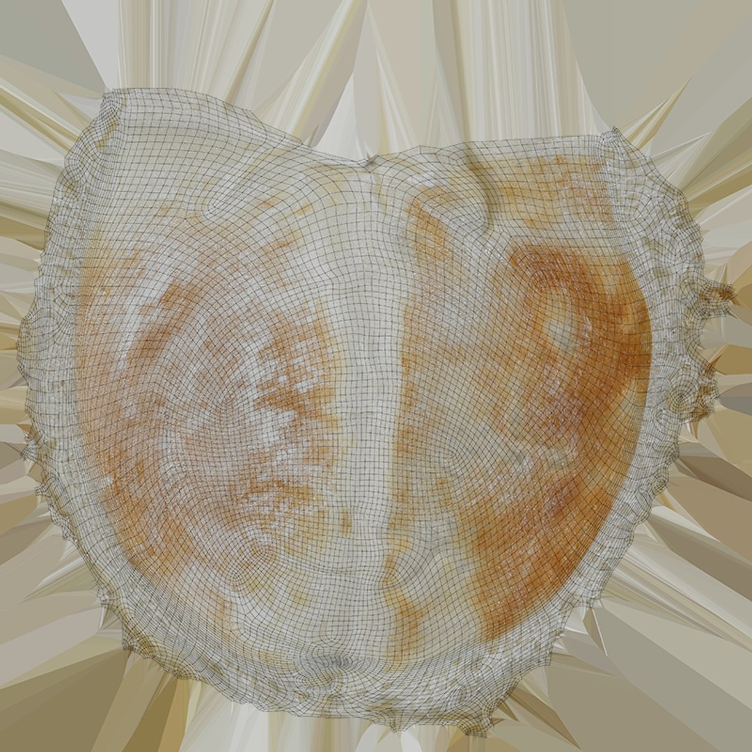 3D Pita Bread Collection https://p.turbosquid.com/ts-thumb/yR/G8AVkE/5r/pitabreadhalf_c0004/png/1756923231/1920x1080/fit_q87/2cd3f8aacc639ce2a056ab6a75aefcbc646ec838/pitabreadhalf_c0004.jpg