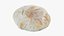 Collection de pain pita