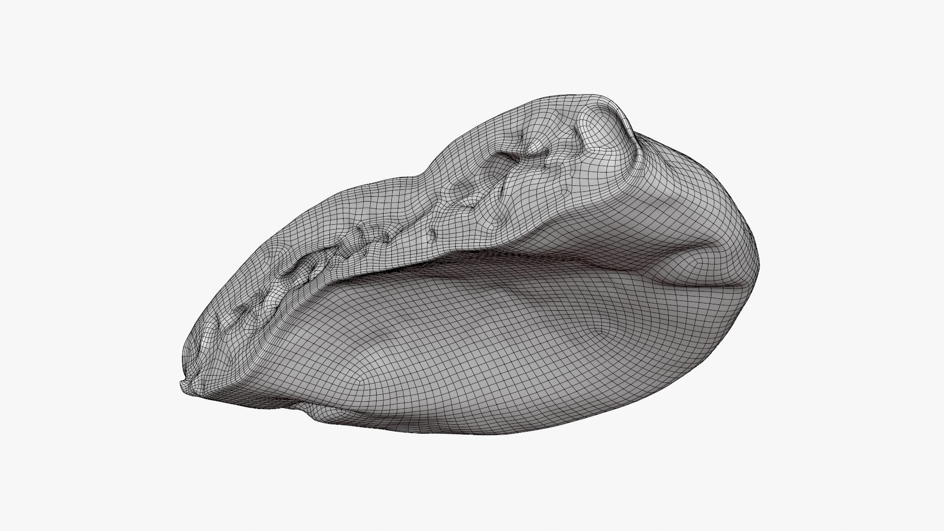 3D Pita Bread Collection https://p.turbosquid.com/ts-thumb/yR/G8AVkE/cs/pitabreadhalf_d0003/png/1756923234/1920x1080/fit_q87/602b3e4f8a76017271f968f77fc48bee2d04274e/pitabreadhalf_d0003.jpg