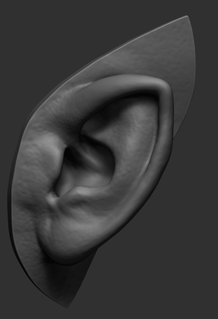 Ear Ztl Stl 3D Model - TurboSquid 1301024