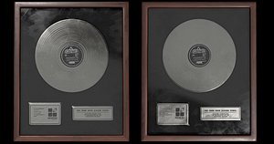 silver vinyl 3D