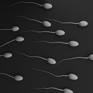 3d sperms