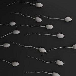 sperms.3ds