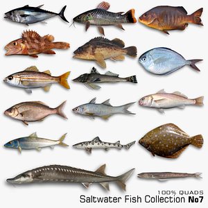 3D model Saltwater Fish collection 7