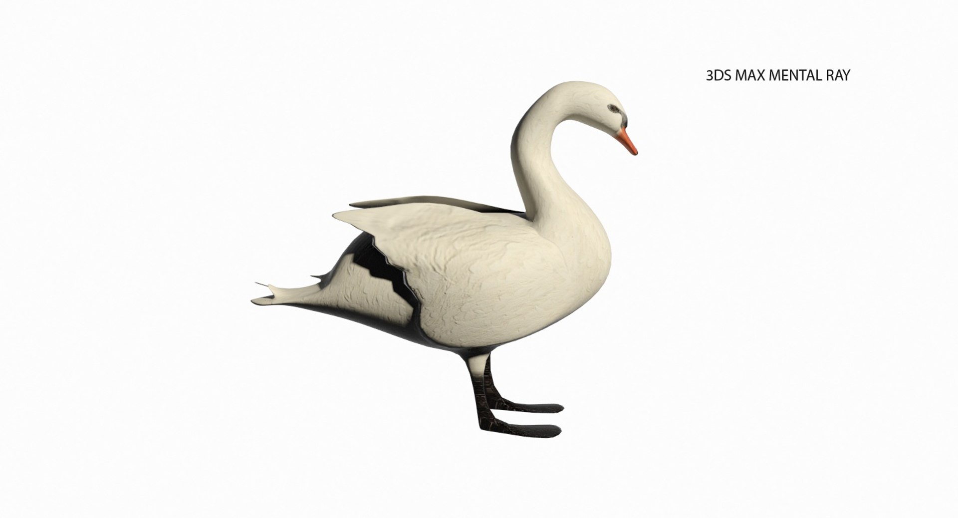 Swan Water Model - TurboSquid 1208052
