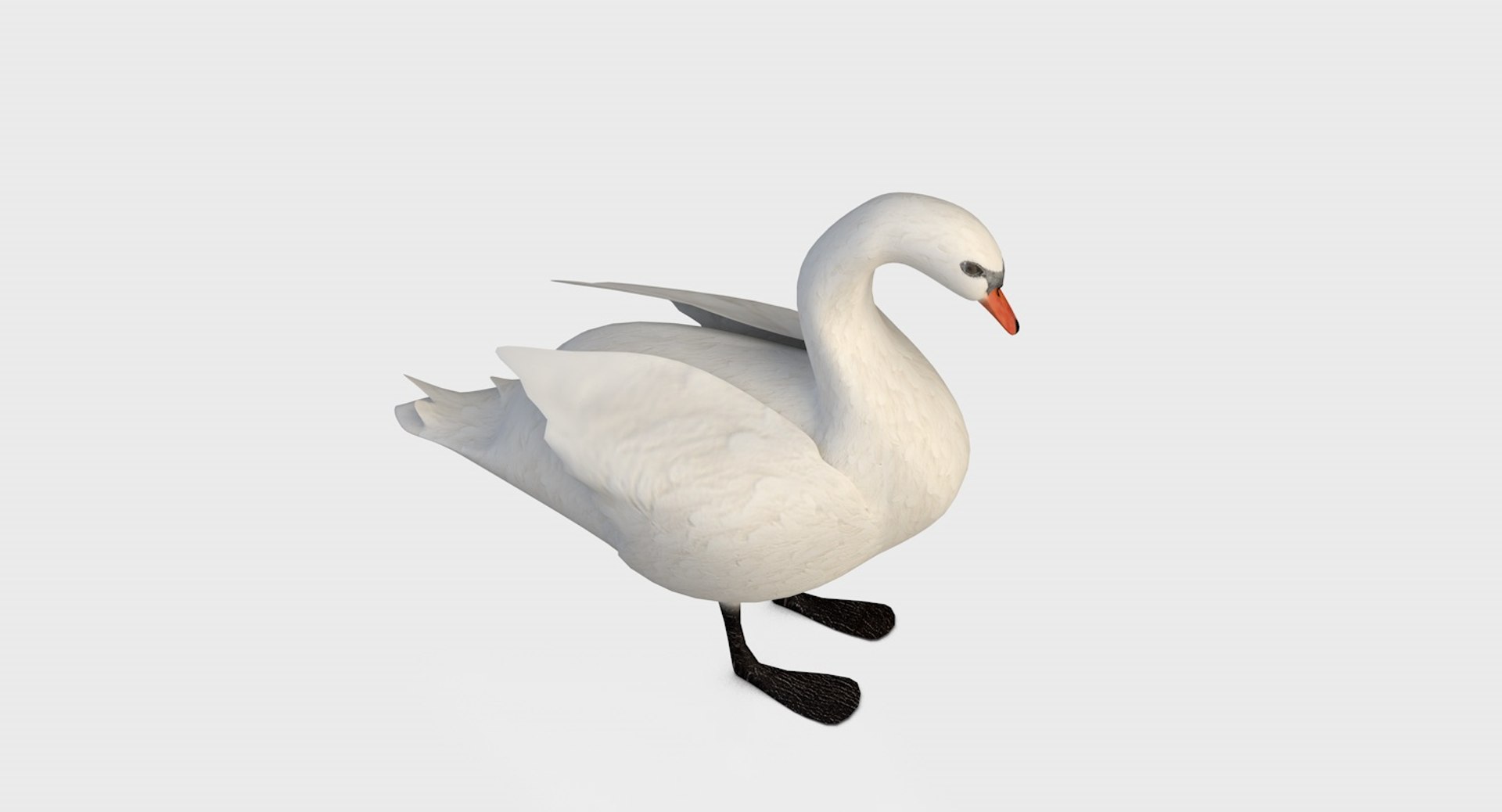 Swan Water Model - TurboSquid 1208052