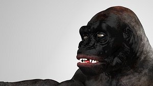gorilla 3d obj