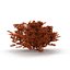 Seaweed Red V1