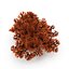 Seaweed Red V1