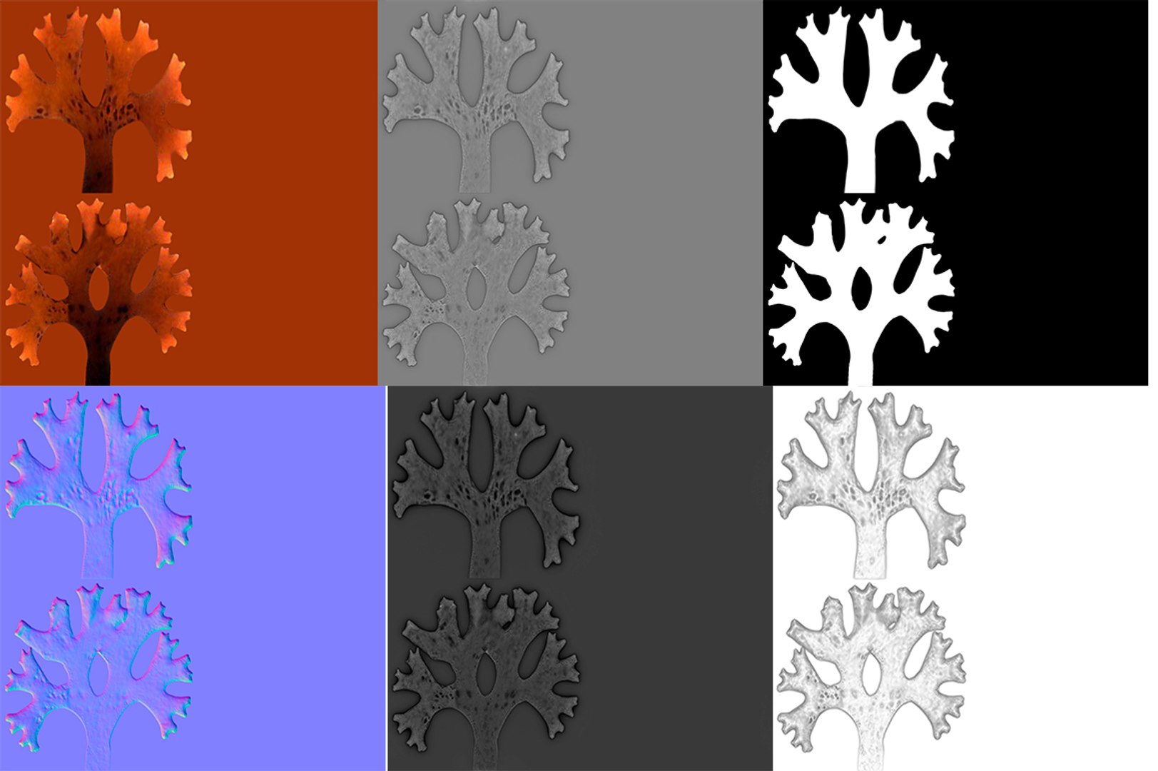 3D Seaweed Red V1 https://p.turbosquid.com/ts-thumb/yR/u8WivJ/lb/maps/jpg/1636219688/1920x1080/fit_q87/ba6167fb6a386477f90c45e7e8ac831a710ea64e/maps.jpg