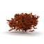 Seaweed Red V1