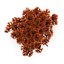 Seaweed Red V1