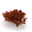 Seaweed Red V1