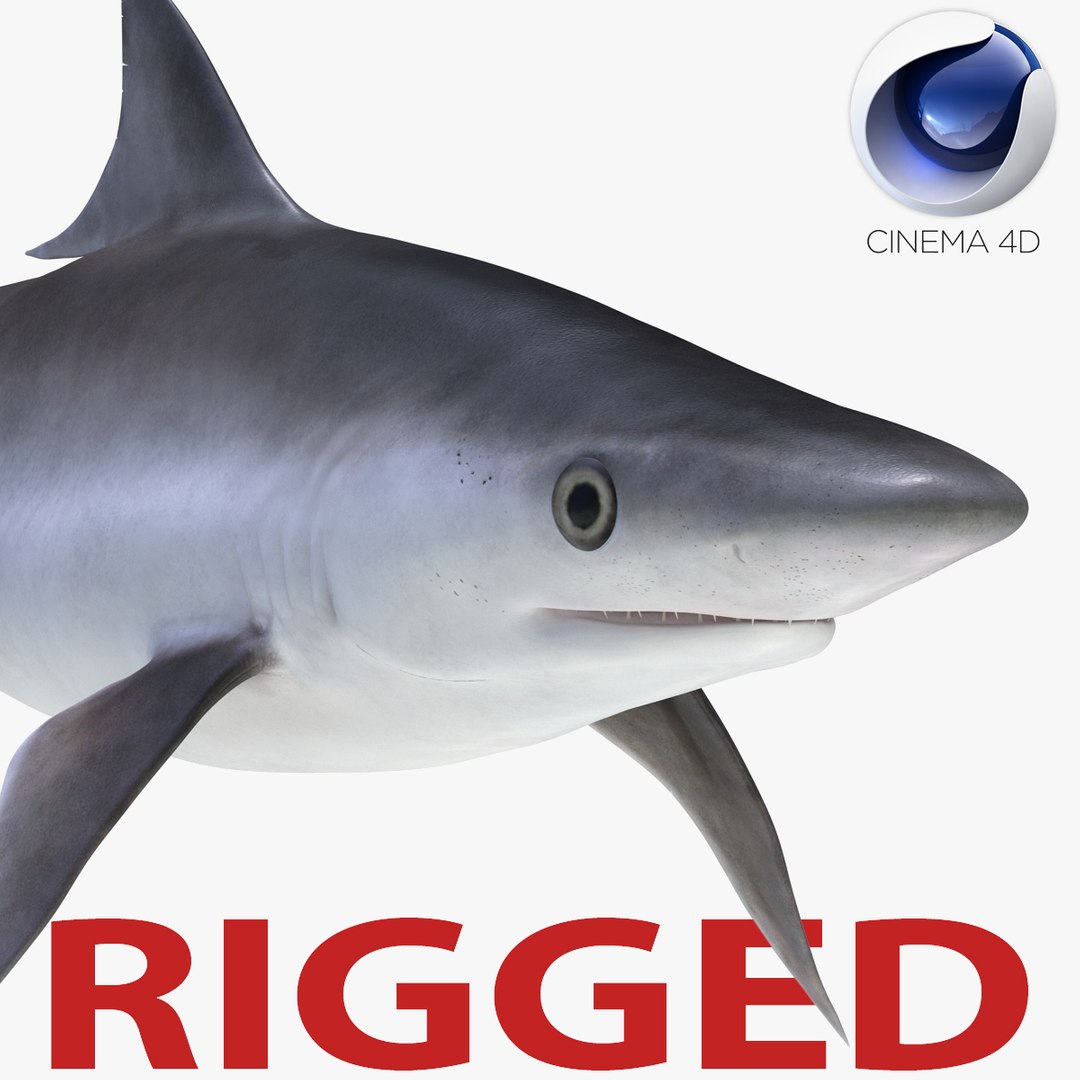 Milk Shark Rigged for Cinema 4D 3D Model 3D model preview