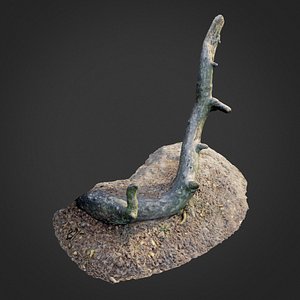 3D nature forest roots 004 model