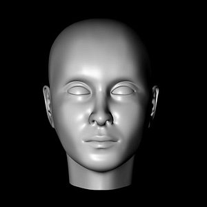 human female head reference 3d model