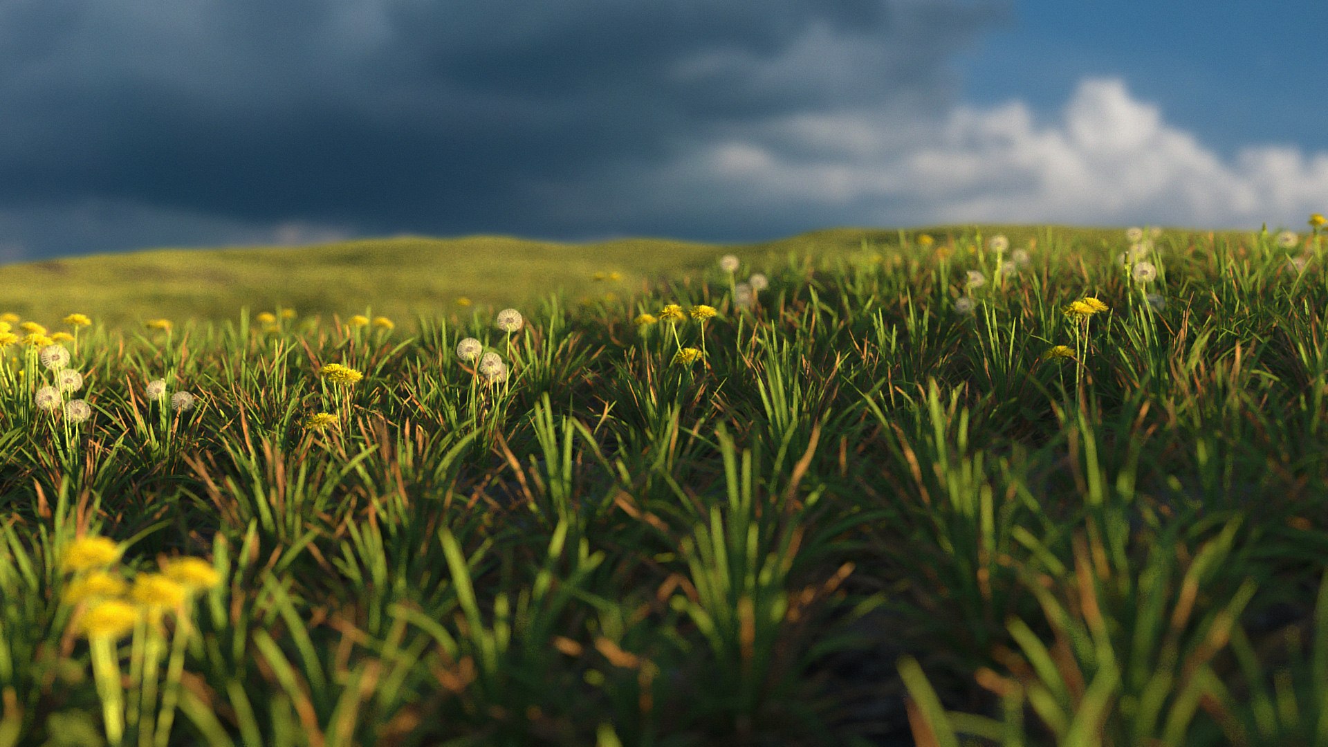 Spring Field 3D Model - TurboSquid 1159002