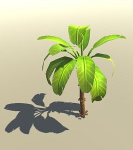 Banana Plant