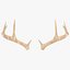 antlers ready model