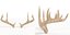 antlers ready model