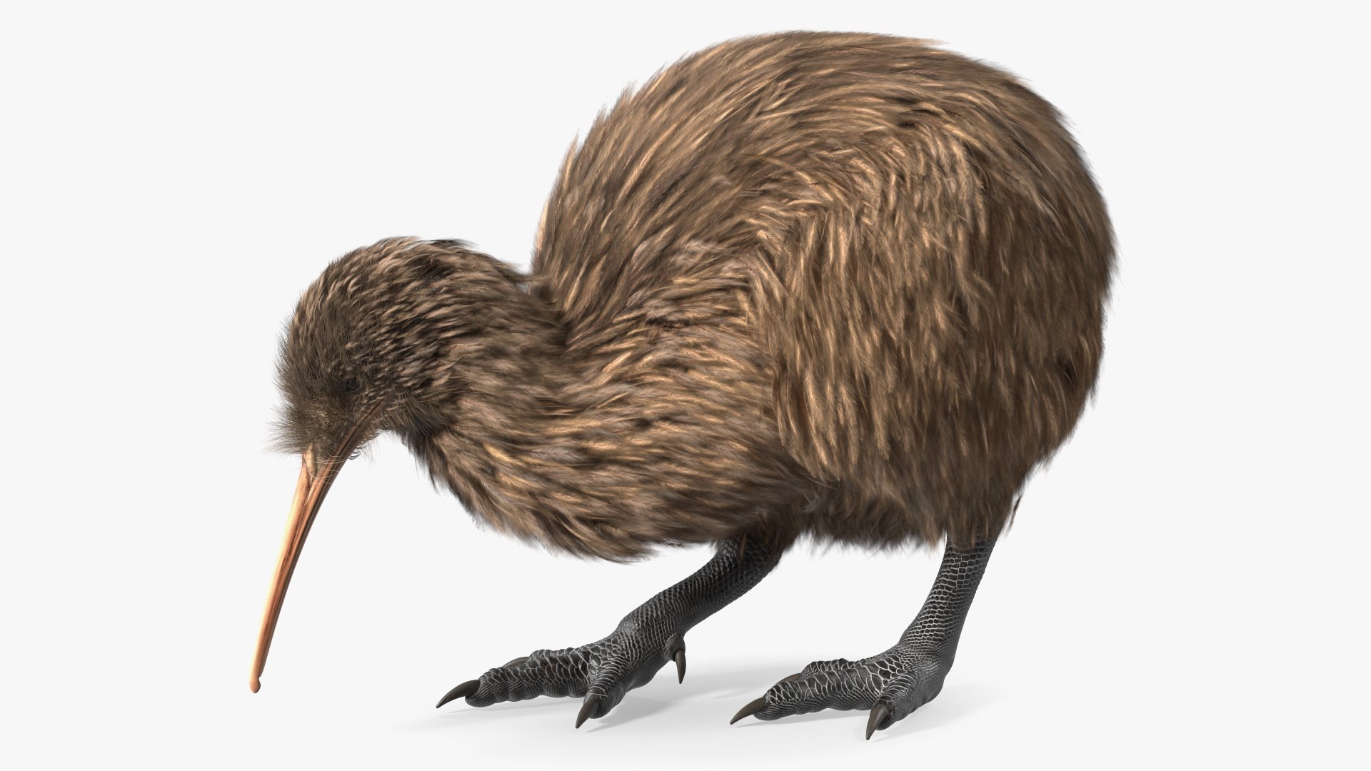 Cute Kiwi Bird Fur 3D https://p.turbosquid.com/ts-thumb/yS/edBO4i/4y/cutekiwibirdfurc4dmodel009/jpg/1690940281/1920x1080/fit_q87/5385db8ce414b0cc93a3bba2723656c21098f367/cutekiwibirdfurc4dmodel009.jpg