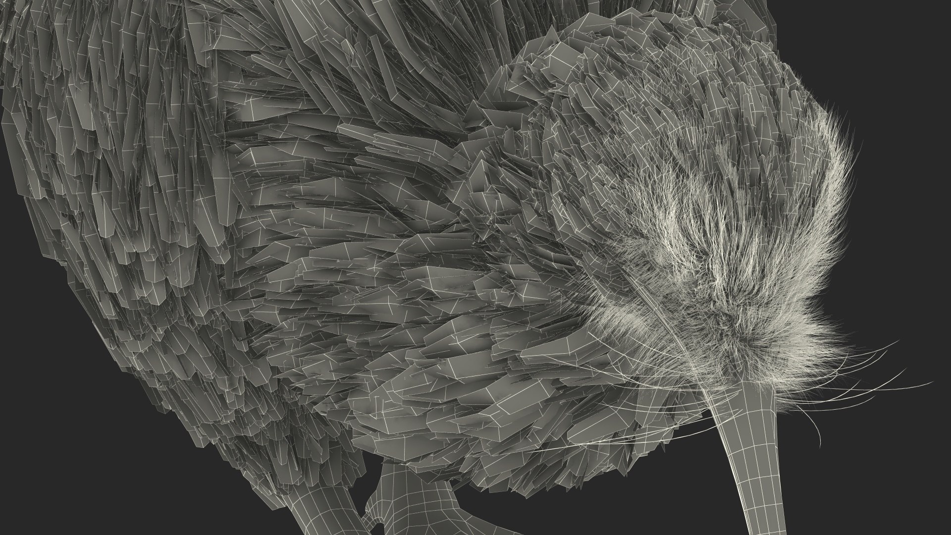 Cute Kiwi Bird Fur 3D https://p.turbosquid.com/ts-thumb/yS/edBO4i/58/cutekiwibirdfurc4dmodel024/jpg/1690940336/1920x1080/fit_q87/7336d5b87a3a7c7c3c976fe6f7ac7f74c6d7f62d/cutekiwibirdfurc4dmodel024.jpg