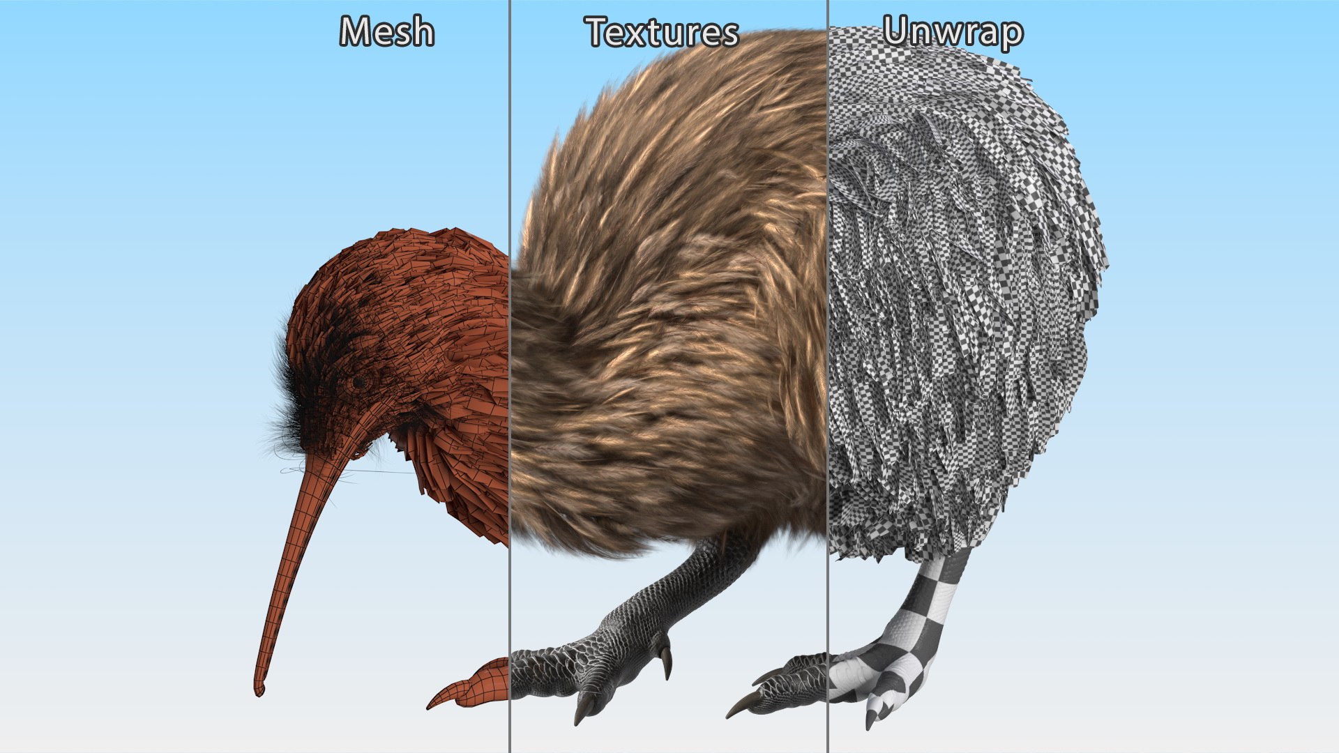 Cute Kiwi Bird Fur 3D https://p.turbosquid.com/ts-thumb/yS/edBO4i/EB/cutekiwibirdfurc4dmodel016/jpg/1690940306/1920x1080/fit_q87/1b427c11f8f1297c534b3f9b28621774b7abe548/cutekiwibirdfurc4dmodel016.jpg