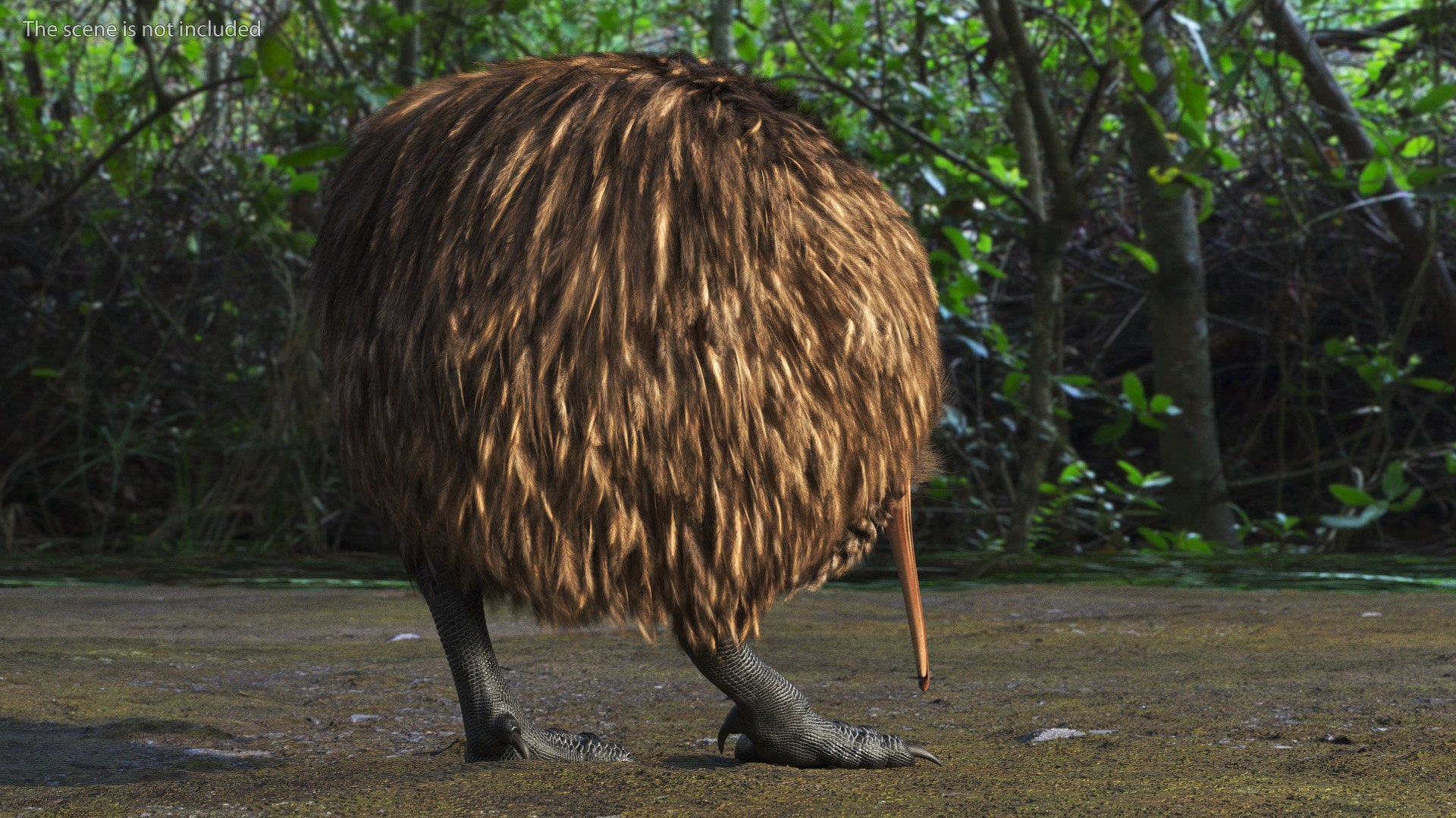Cute Kiwi Bird Fur 3D https://p.turbosquid.com/ts-thumb/yS/edBO4i/FW/cutekiwibirdfurc4dmodel005/jpg/1690940267/1920x1080/fit_q87/e90536e0bb79146524588efdb955d331054fe613/cutekiwibirdfurc4dmodel005.jpg