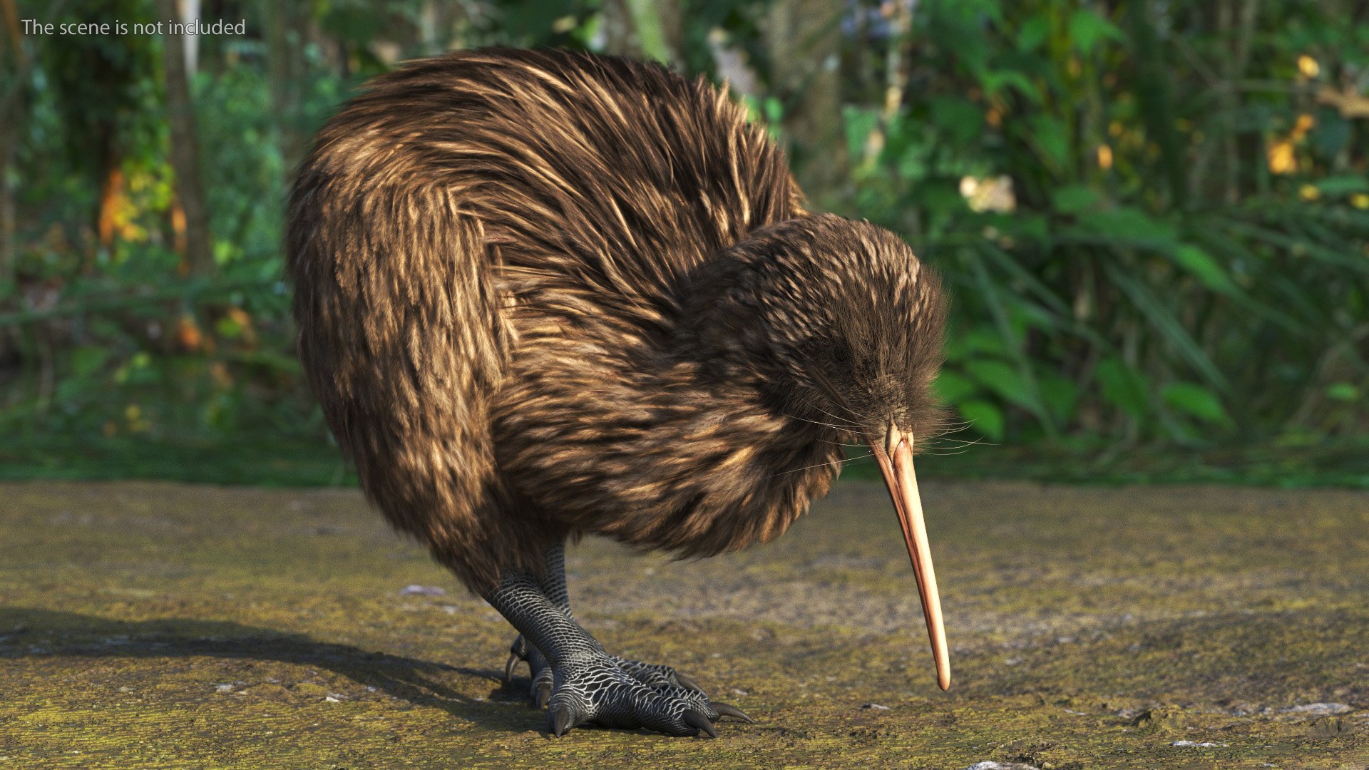 Cute Kiwi Bird Fur 3D https://p.turbosquid.com/ts-thumb/yS/edBO4i/Fw/cutekiwibirdfurc4dmodel003/jpg/1690940260/1920x1080/fit_q87/7b740acf7ffb69f7fa2d9815577aecb9f051e4d9/cutekiwibirdfurc4dmodel003.jpg