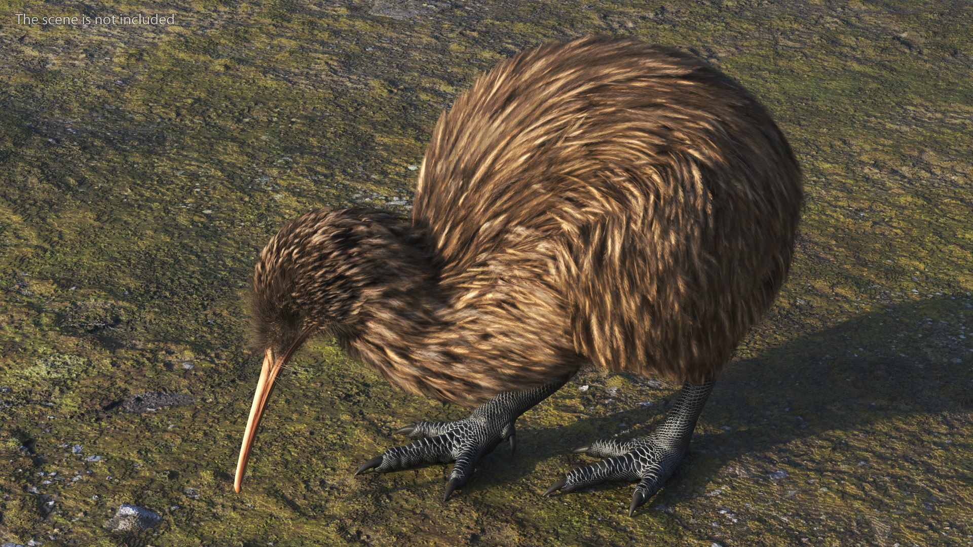 Cute Kiwi Bird Fur 3D https://p.turbosquid.com/ts-thumb/yS/edBO4i/Ju/cutekiwibirdfurc4dmodel004/jpg/1690940264/1920x1080/fit_q87/1806e0c3a8a1b663818f4ae2d6a2a86e94a53a60/cutekiwibirdfurc4dmodel004.jpg