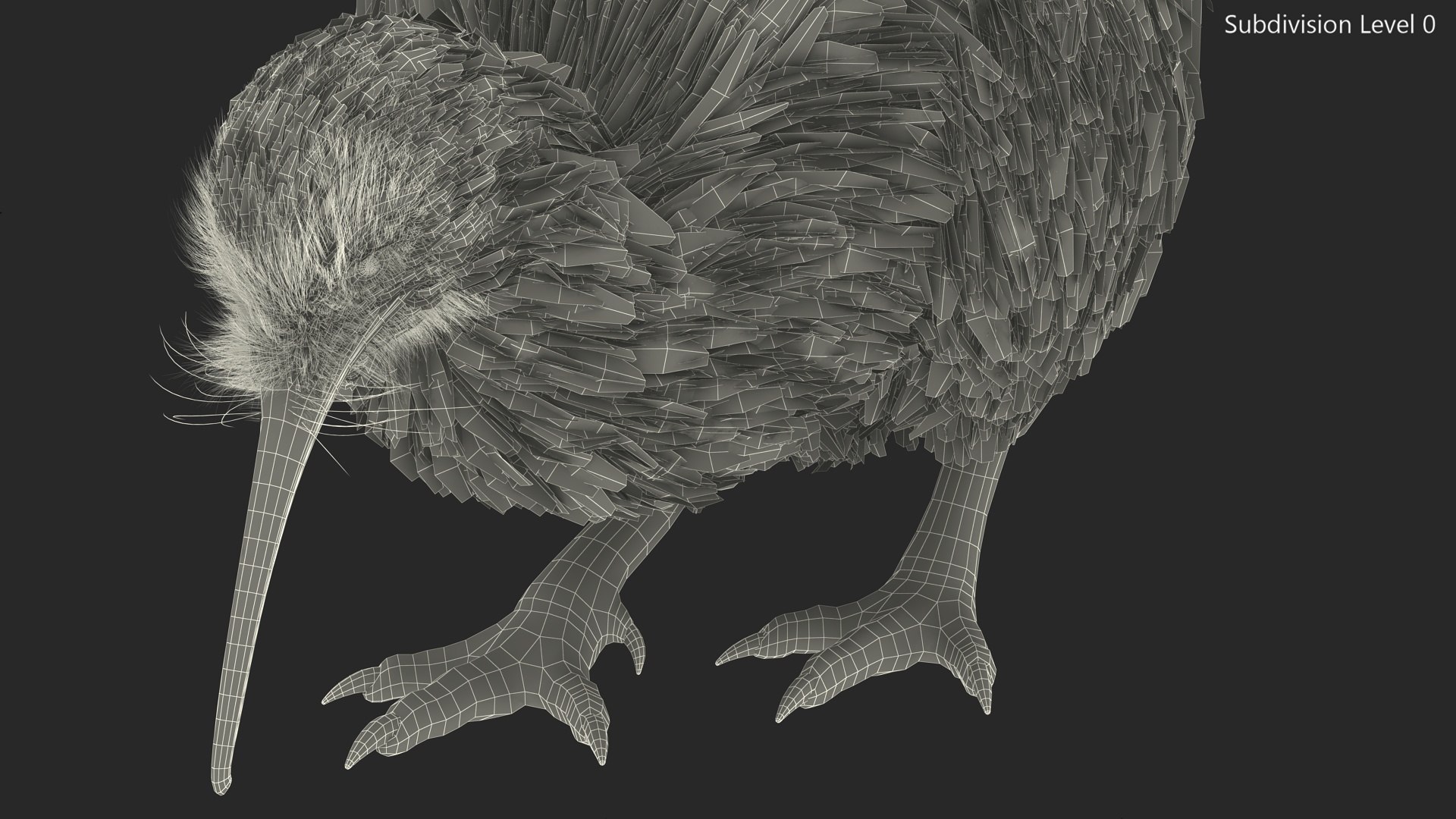 Cute Kiwi Bird Fur 3D https://p.turbosquid.com/ts-thumb/yS/edBO4i/Mi/cutekiwibirdfurc4dmodel017/jpg/1690940309/1920x1080/fit_q87/f556ce7cb614c7fb7cfa0b3edf593584acb9b5e0/cutekiwibirdfurc4dmodel017.jpg