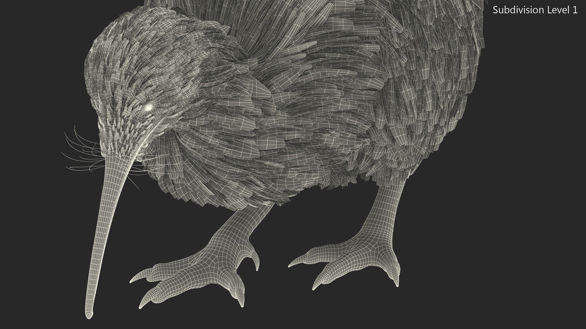 Cute Kiwi Bird Fur 3D https://p.turbosquid.com/ts-thumb/yS/edBO4i/j8/cutekiwibirdfurc4dmodel018/jpg/1690940312/1920x1080/fit_q87/0e0e1990db2383b8fbd0dc3ae1fb4b907e5918b3/cutekiwibirdfurc4dmodel018.jpg