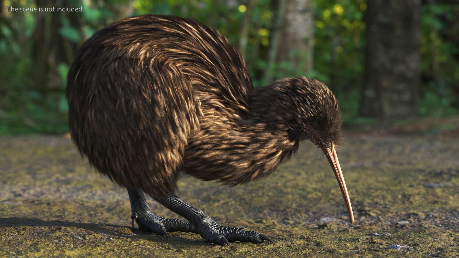 Cute Kiwi Bird Fur 3D https://p.turbosquid.com/ts-thumb/yS/edBO4i/rM/cutekiwibirdfurc4dmodel002/jpg/1690940257/1920x1080/fit_q87/09aa0ae10b0fc341e1f0c1dc485e721c72c67afe/cutekiwibirdfurc4dmodel002.jpg
