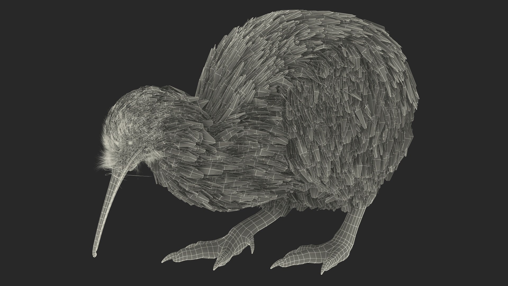 Cute Kiwi Bird Fur 3D https://p.turbosquid.com/ts-thumb/yS/edBO4i/sE/cutekiwibirdfurc4dmodel022/jpg/1690940328/1920x1080/fit_q87/093e47aaf96344662a14da83ed163a36245c5422/cutekiwibirdfurc4dmodel022.jpg