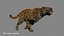 leopardo