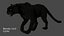 leopardo