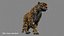 leopardo