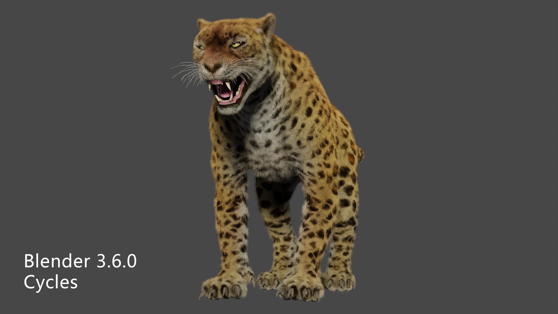 leopard 3D model https://p.turbosquid.com/ts-thumb/yS/l2YJmF/gT/cycle01/png/1706080367/1920x1080/fit_q87/83bcf75bdc8a45f889c3c05bbce8f60bb8d8aeb6/cycle01.jpg