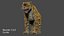 leopardo