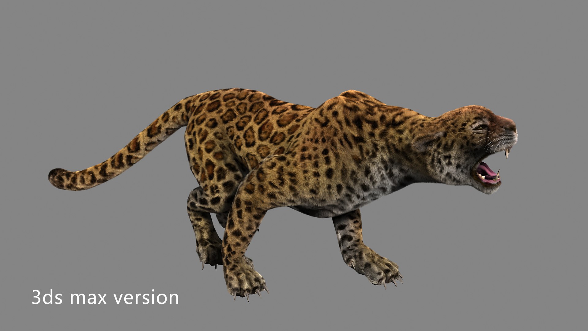 leopard 3D model https://p.turbosquid.com/ts-thumb/yS/l2YJmF/uu/z06/jpg/1706080371/1920x1080/fit_q87/7e379b383a04f05a40eecdd848ee46123c947b1d/z06.jpg