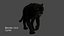 leopardo