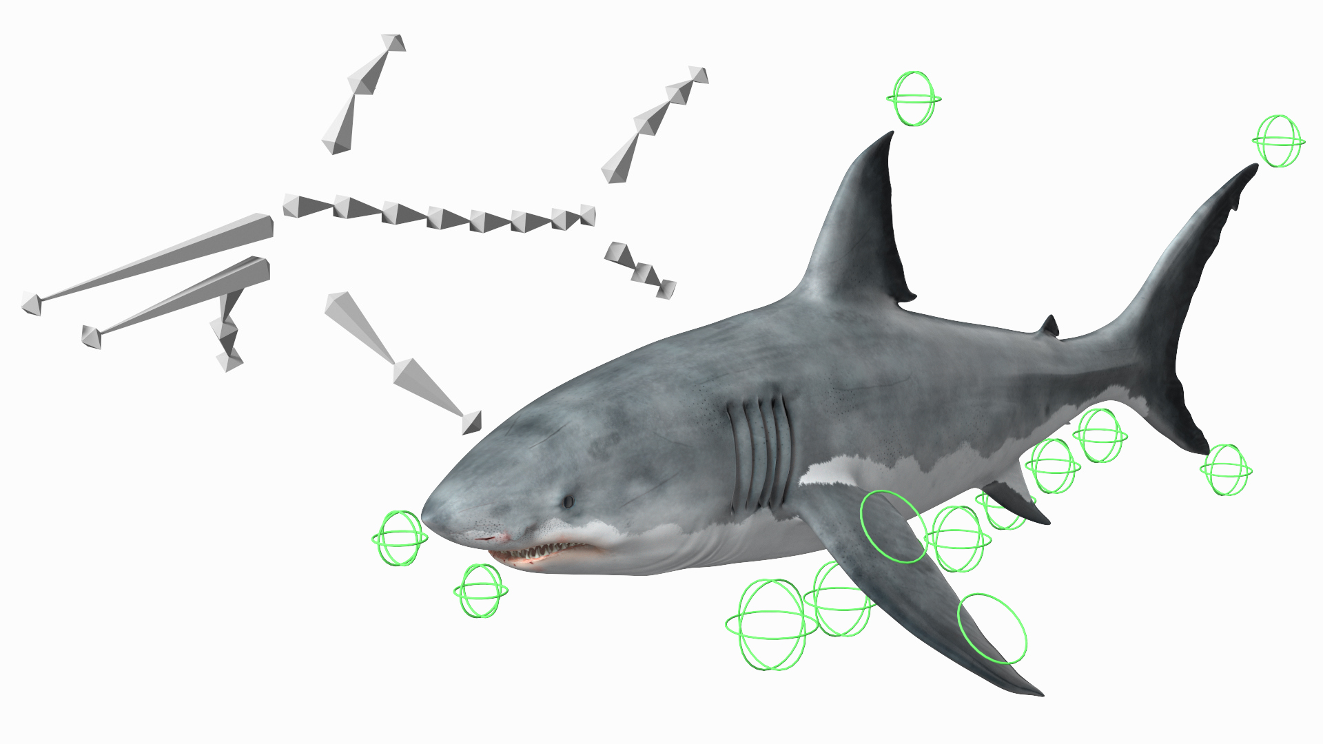 Great White Shark Blood Stained Rigged 3D Model - TurboSquid 2198826