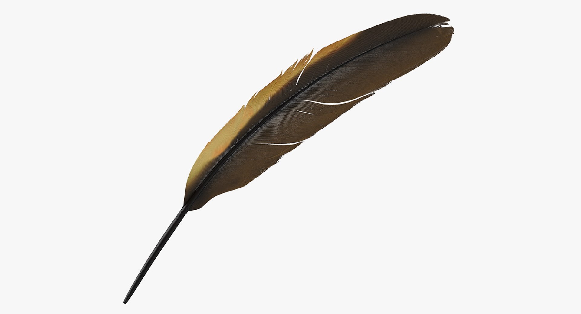 Dark Gold Goose Feather 3D model preview