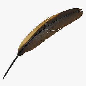 dark gold goose feather 3D model
