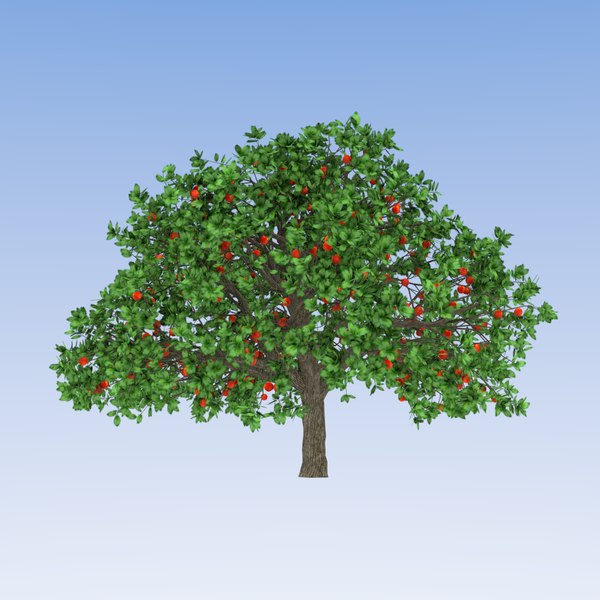 Apple Tree 7m 3D Model TurboSquid 1252212