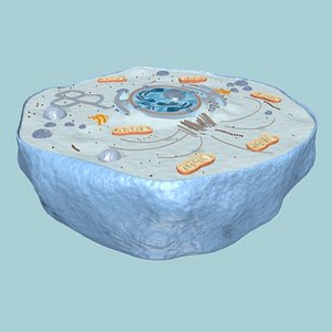 Cell 3D Models for Download | TurboSquid