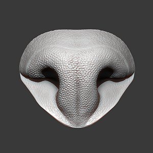 3D model Cat Nose Highpoly Sculpt