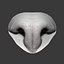 Кошачий нос Highpoly Sculpt