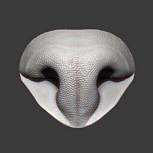 Cat Nose Highpoly Sculpt