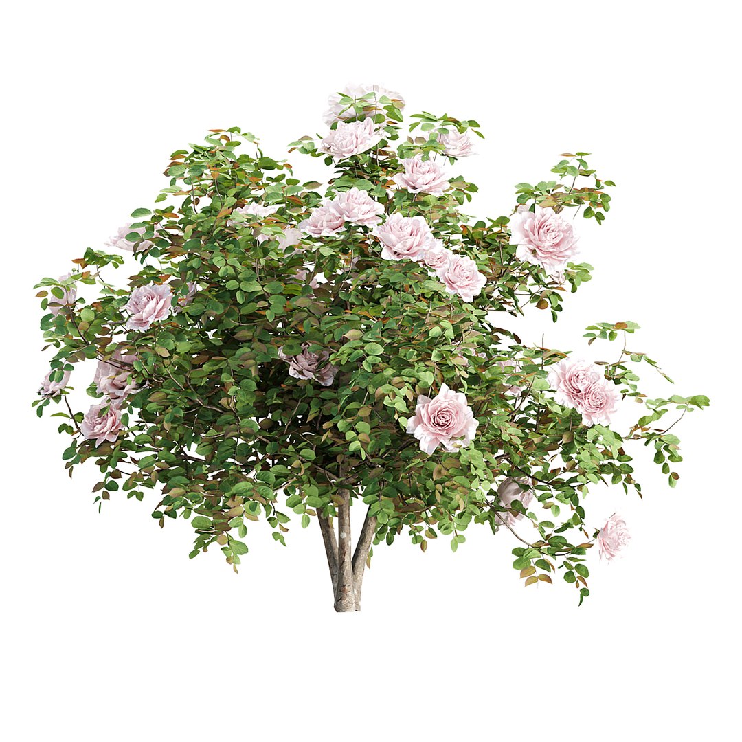 Classic Ornamental Planter with Roses Vol 335 3D model https://p.turbosquid.com/ts-thumb/yT/H0RzVa/lv/4/jpg/1761088169/1920x1080/fit_q87/63f87fcd99c13ab47dcdadcc2a00551da33c4e29/4.jpg